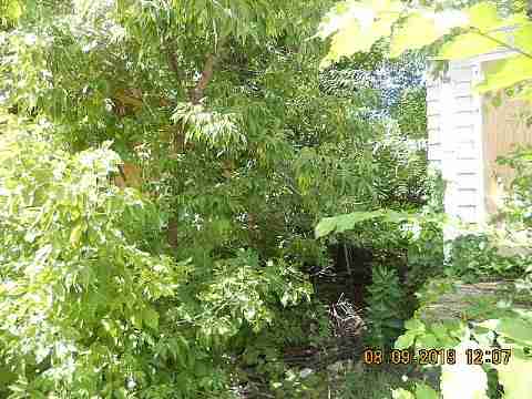 13615 Kentucky (8)_m.jpg